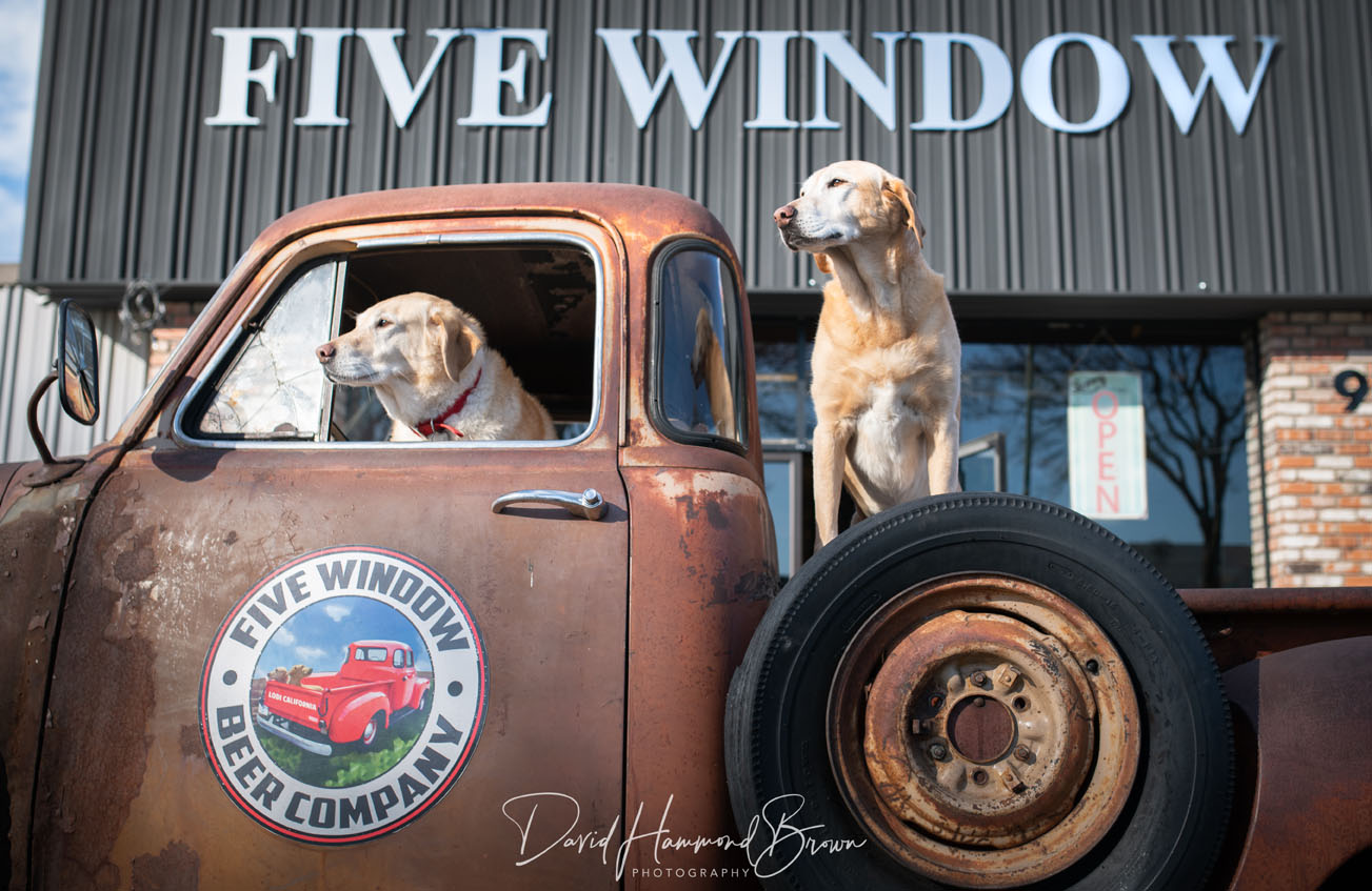 David Hammond Brown Photography - 5 Window Beer Company - Lodi, California