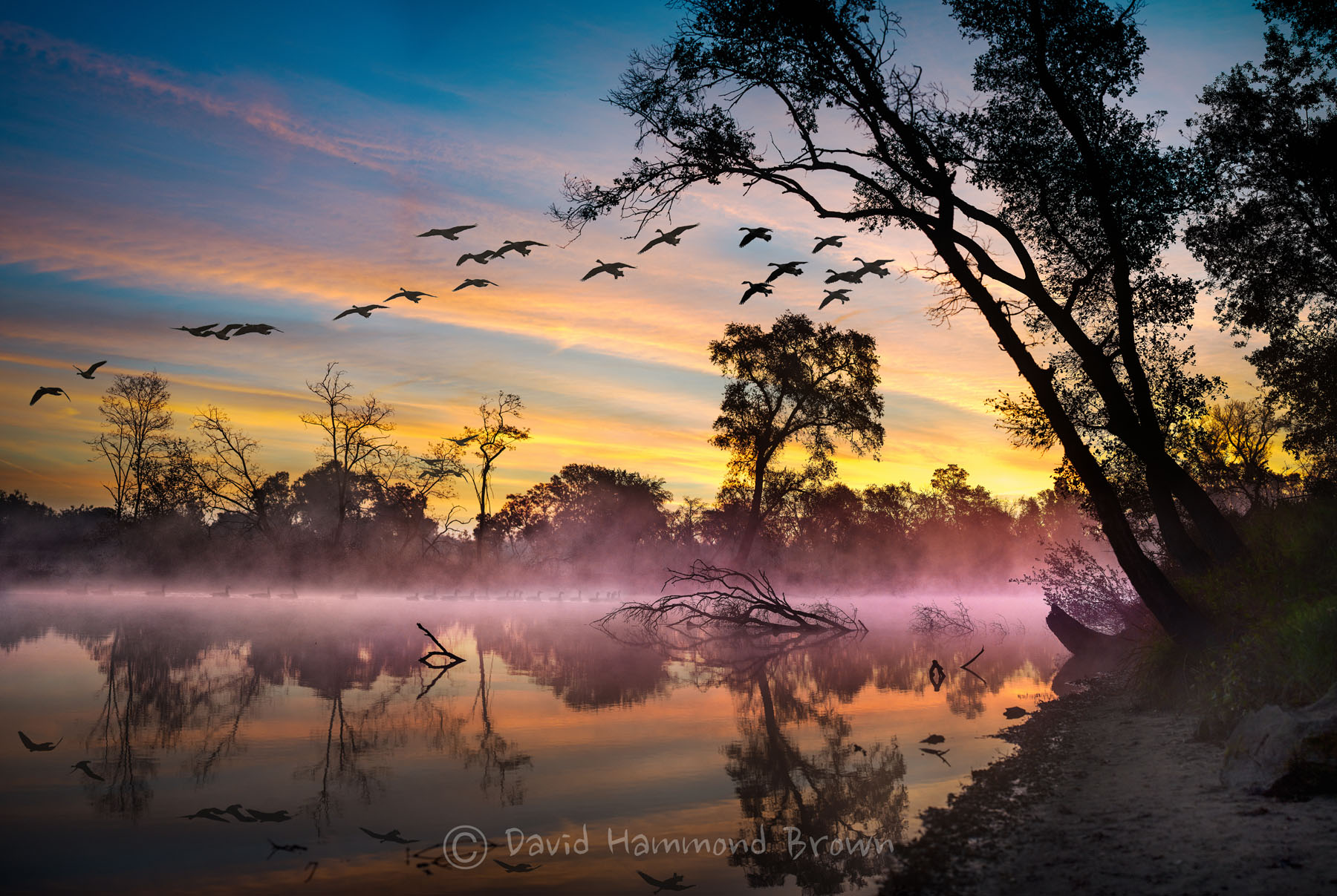 David Hammond Brown Photography - Sunrise on the Mokelumne - Lodi, California