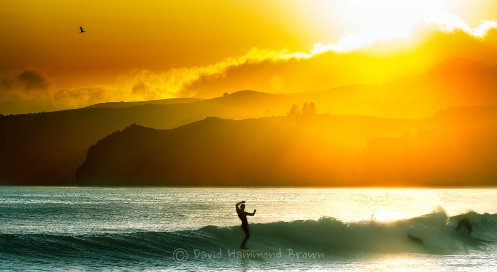 David Hammond Brown Photography - Surfer Sunset